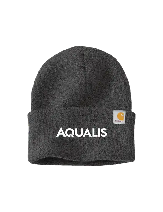 Carhartt Dark Grey Watch Cap 2.0 w/AQUALIS Logo